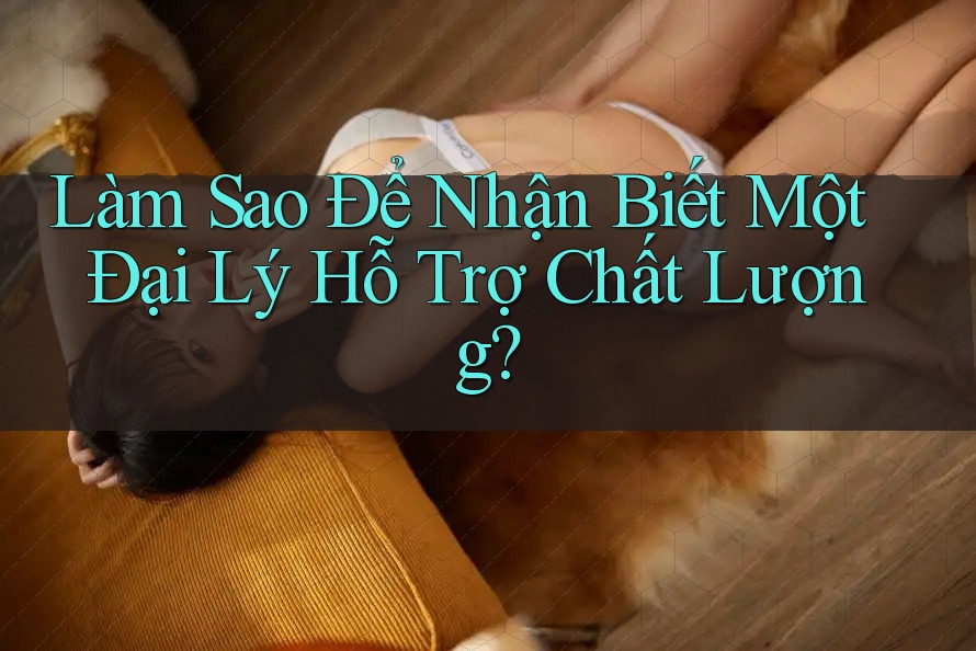 Làm sao để nhận biết một Đại lý hỗ trợ chất lượng?