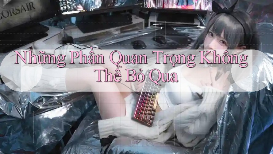 Những Phần Quan Trọng Không Thể Bỏ Qua Những Phần Quan Trọng Không Thể Bỏ Qua