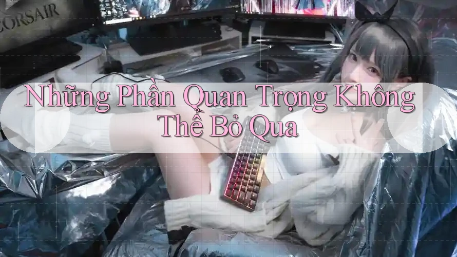 Những Phần Quan Trọng Không Thể Bỏ Qua